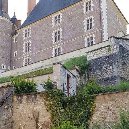 Charmant Appartement Au Pied Du Chateau Gien Kültér fotó