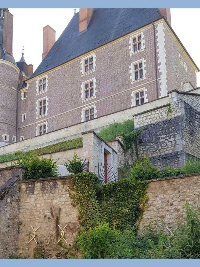 Charmant Appartement Au Pied Du Chateau Gien Kültér fotó